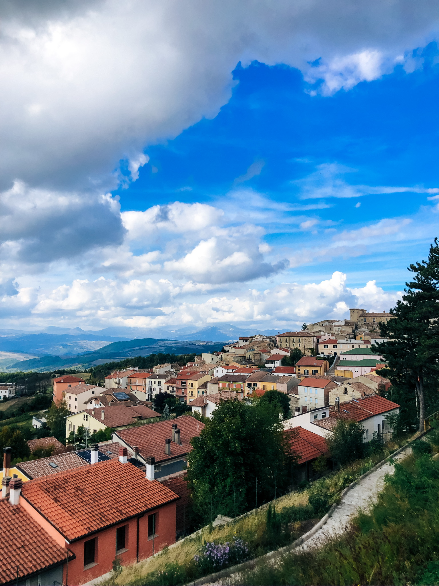 Panorama