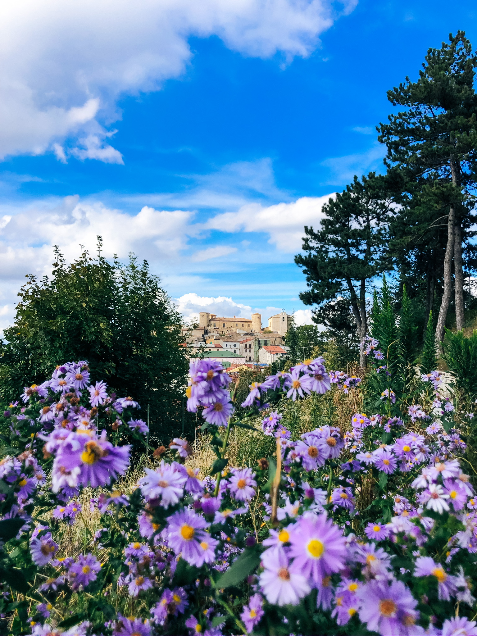 Panorama