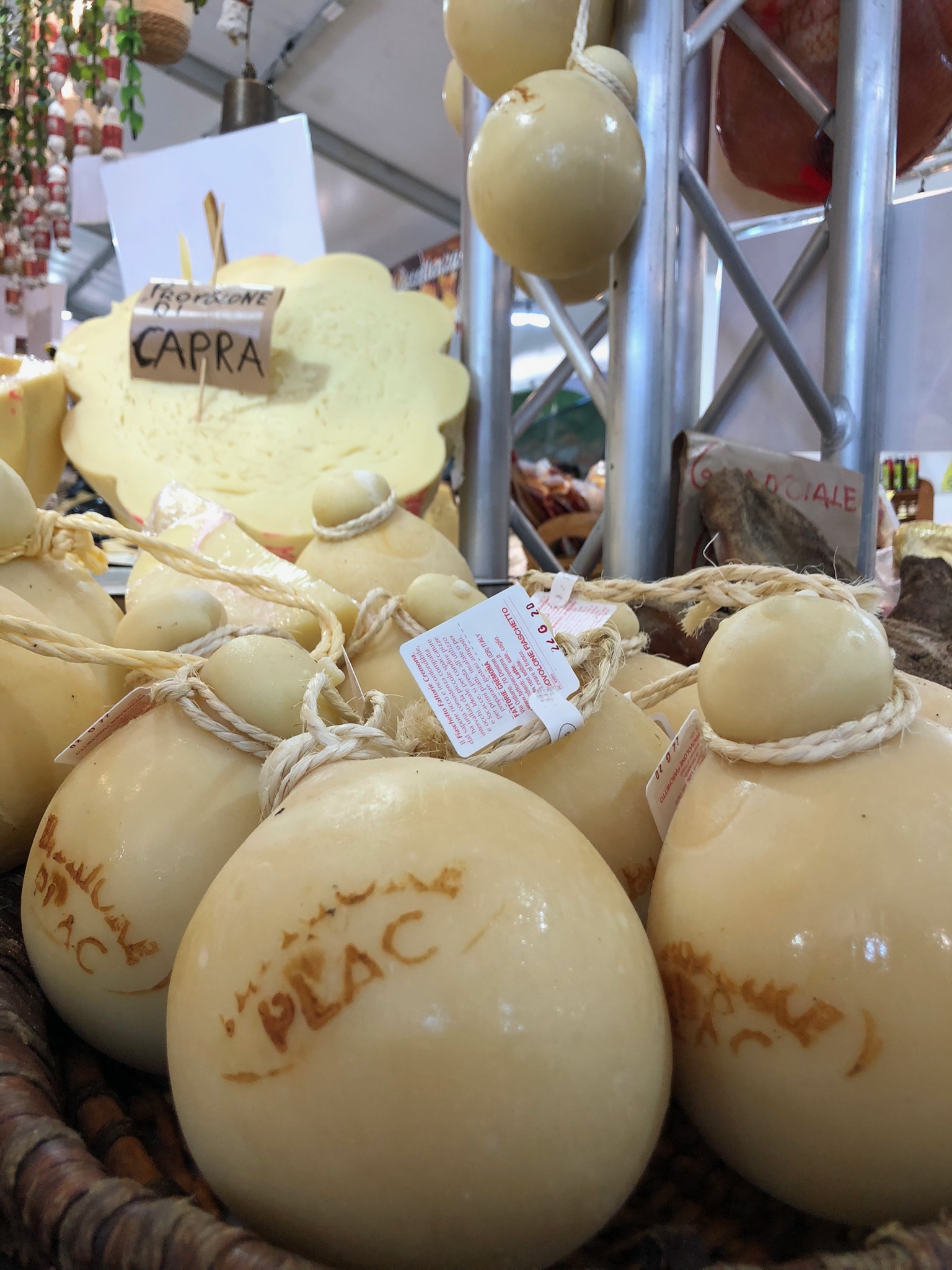 Caciotta
